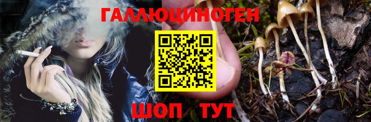 Псилоцибиновые грибы прущие грибы  Вход с VPN  Ачхой-Мартан 